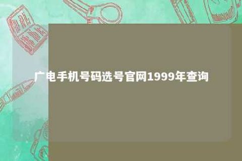 广电手机号码选号官网1999年盘问